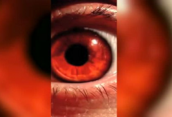 写轮眼视频,探寻神秘忍术背后的奥秘